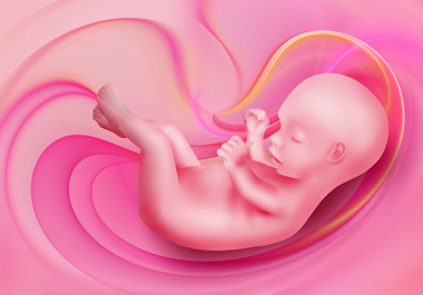 胎儿在什么时候有听力，吵闹声会伤害到胎儿吗？